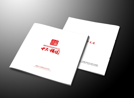 中天福園樓書 中天福園樓書